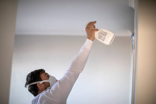 Best Same-Day Mold Removal  in Highland, MD