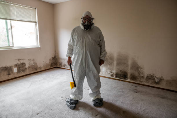 Best Fast Mold Removal  in Highland, MD